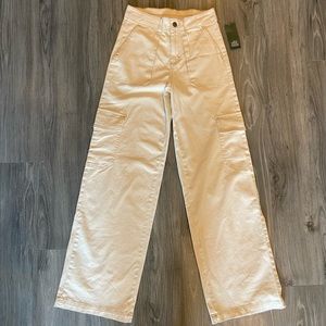 Wild Fable Cargo Pants